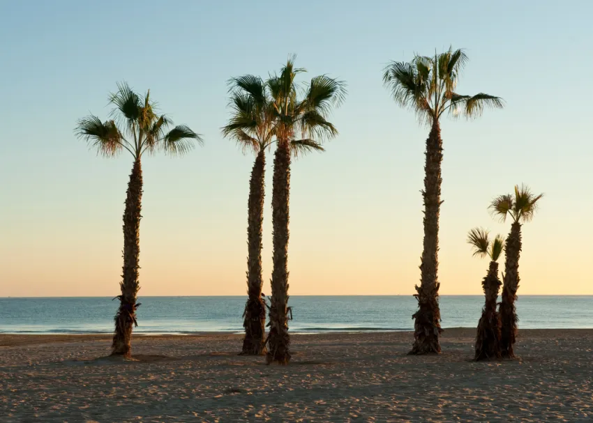 Najlepsze plaże w Alicante - estatecosta.com