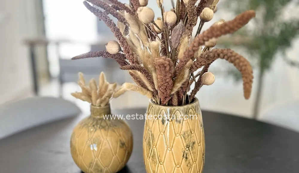 Ground floor bungalow