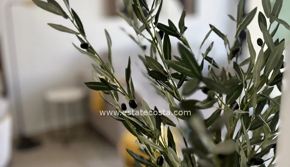 Ground floor bungalow