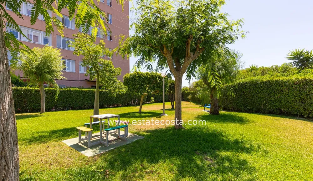Apartament